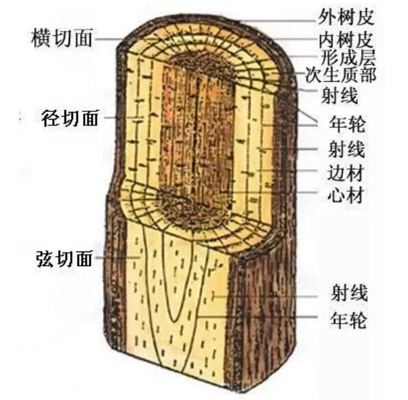 实木家具有色差正常吗！实木家具色差有原因！