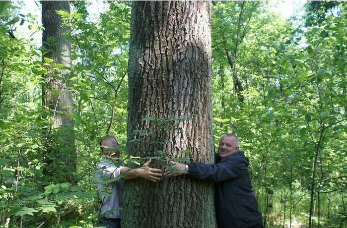 实木家具的特点是不是缺陷！完全没有色差的实木家具你敢要吗？